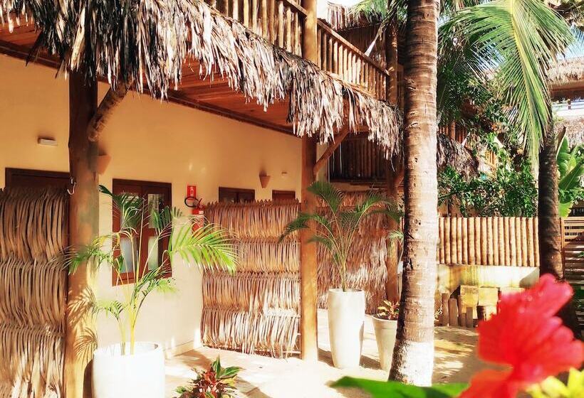 酒店 Pousada Tropical Brasil