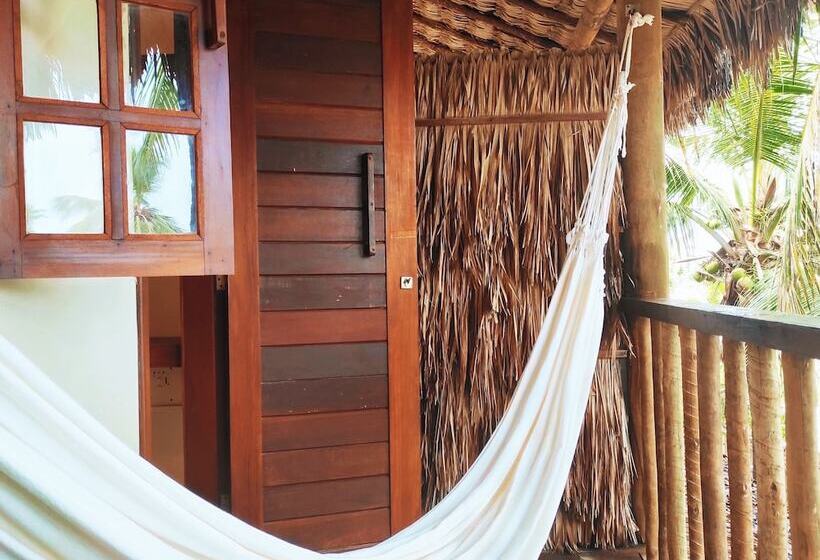 酒店 Pousada Tropical Brasil