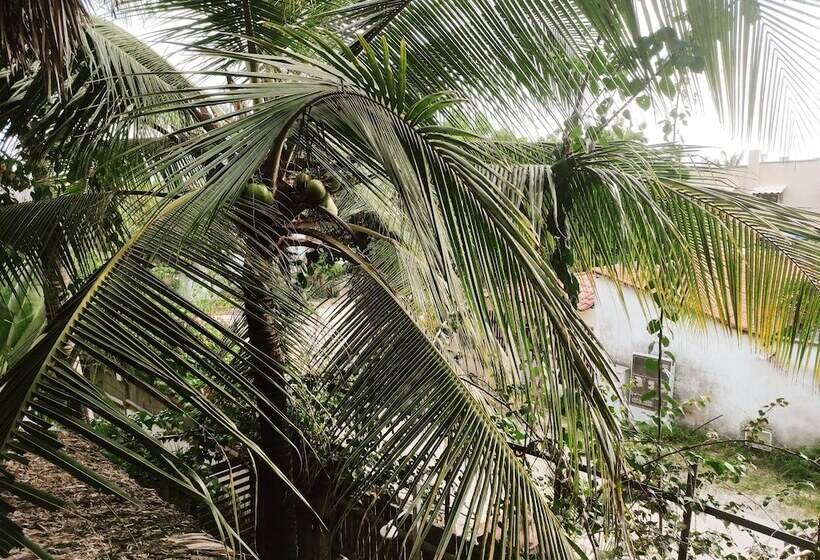 هتل Pousada Tropical Brasil