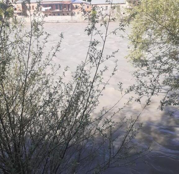 پانسیون Guest House Amazon