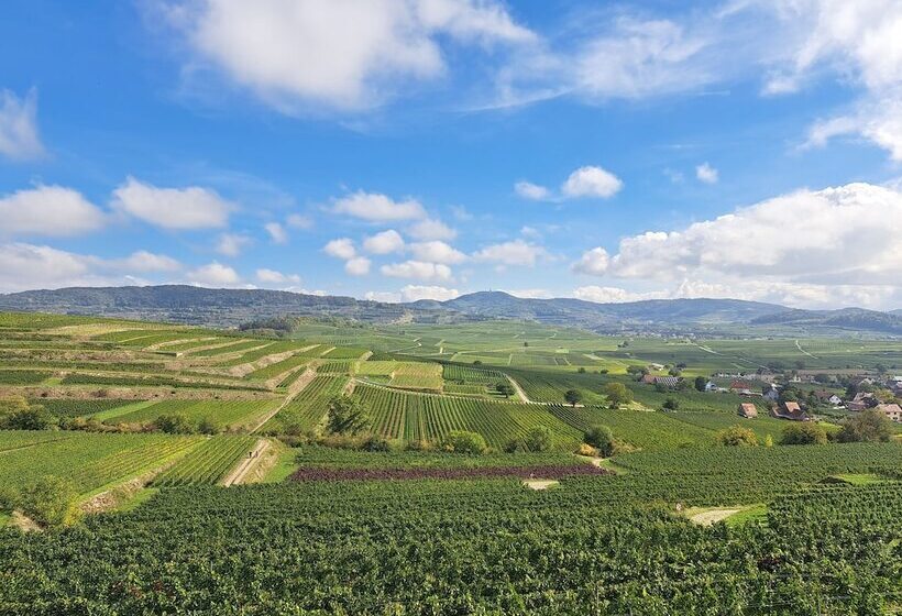 Pension Yvonne Superior