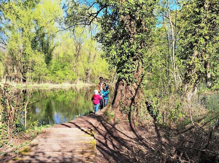 Pension Yvonne Superior