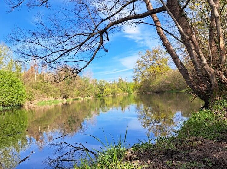 Pension Yvonne Superior