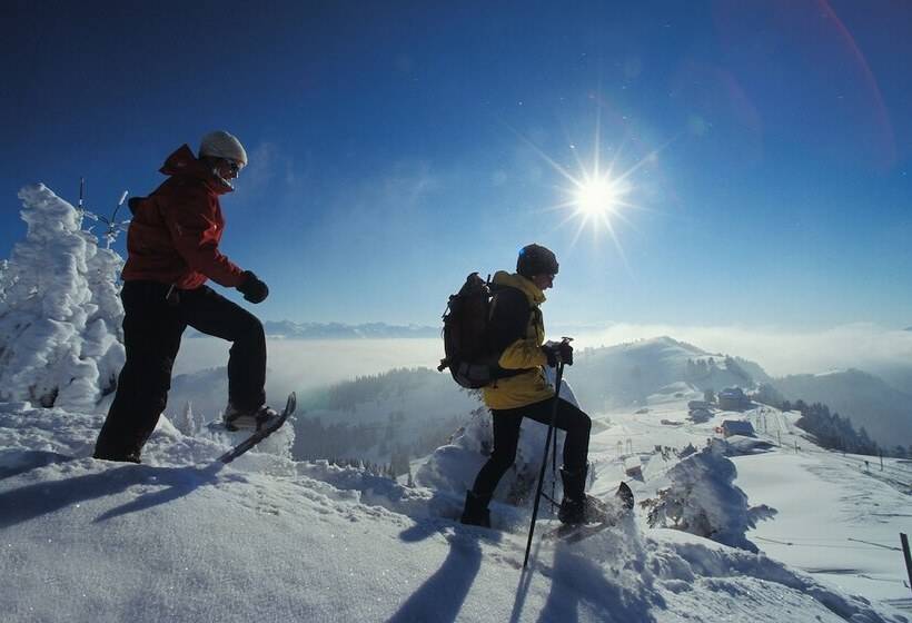 Apart Holidays Morschach