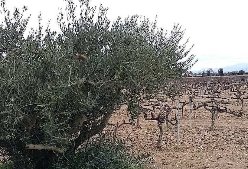 مبيت وإفطار Lou Mas Du Figuier