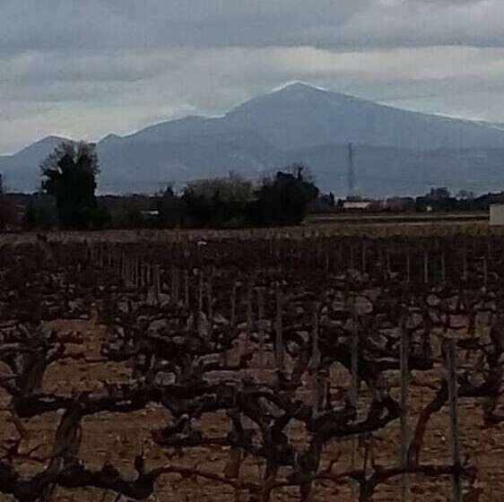 ベッドアンドブレックファースト Lou Mas Du Figuier