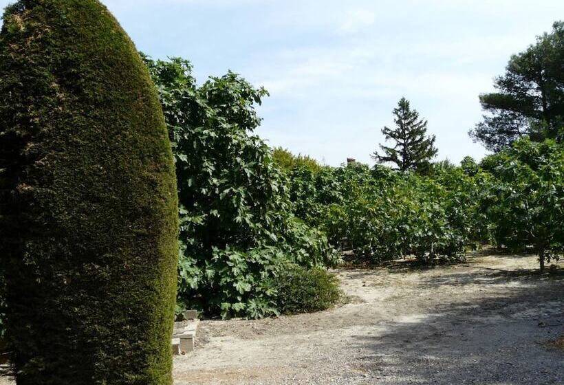 Bed and Breakfast Lou Mas Du Figuier