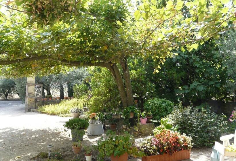 Bed and Breakfast Lou Mas Du Figuier