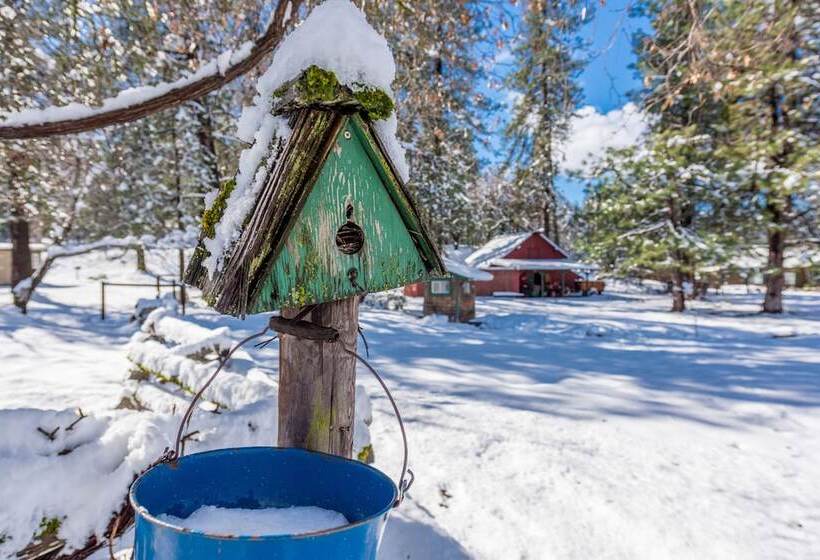 민박 The Davies Family Inn