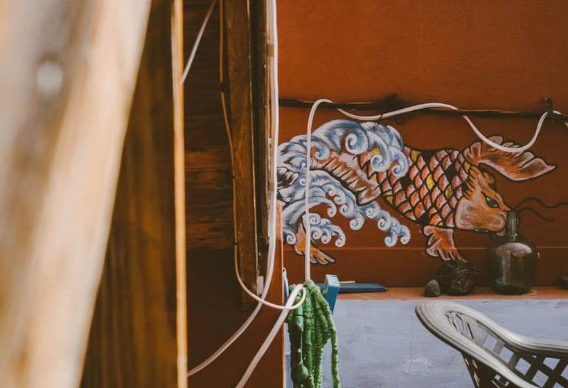 Blue Canary Hostel   Adults Only