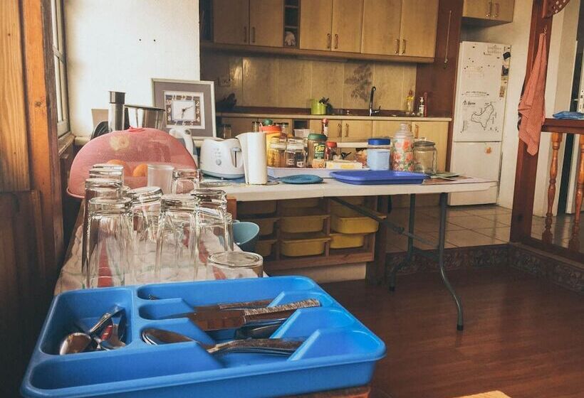 Blue Canary Hostel   Adults Only