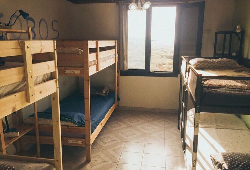 Blue Canary Hostel   Adults Only