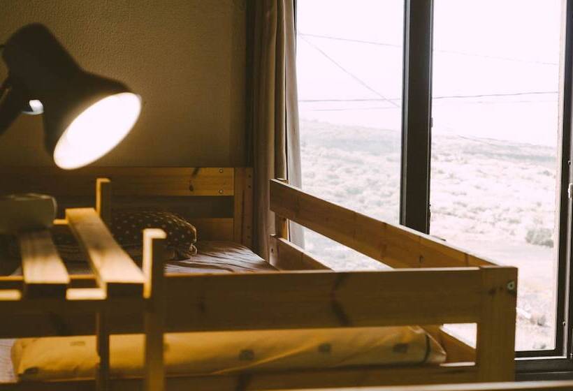 Blue Canary Hostel   Adults Only