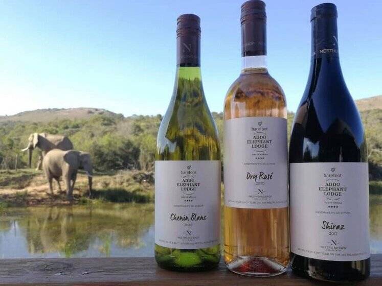 هتل Barefoot Addo Elephant Lodge