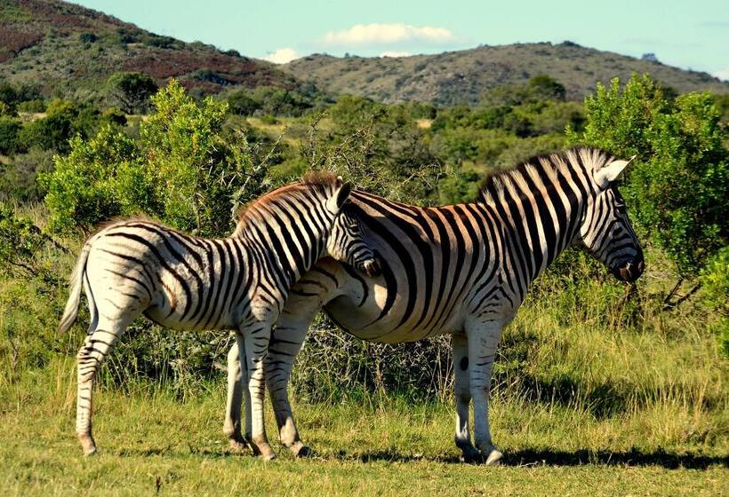 هتل Barefoot Addo Elephant Lodge