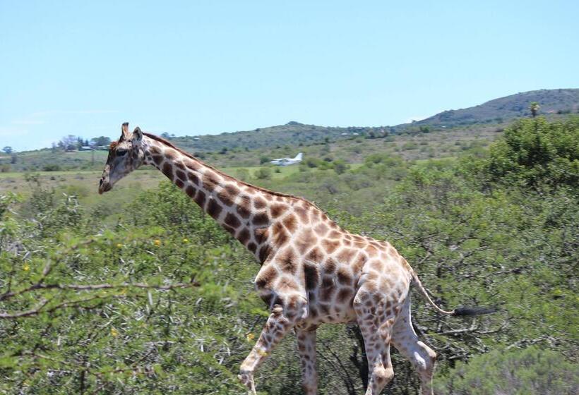 هتل Barefoot Addo Elephant Lodge