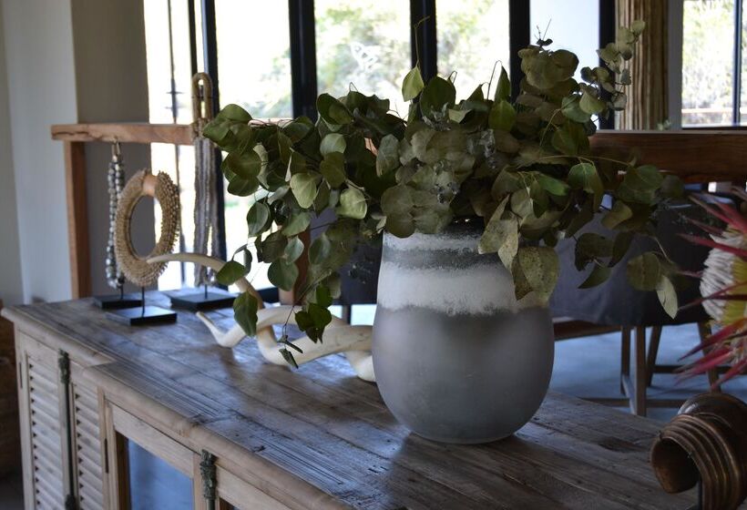 هتل Barefoot Addo Elephant Lodge