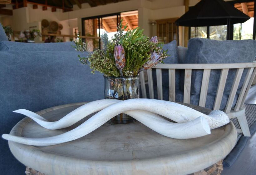 هتل Barefoot Addo Elephant Lodge