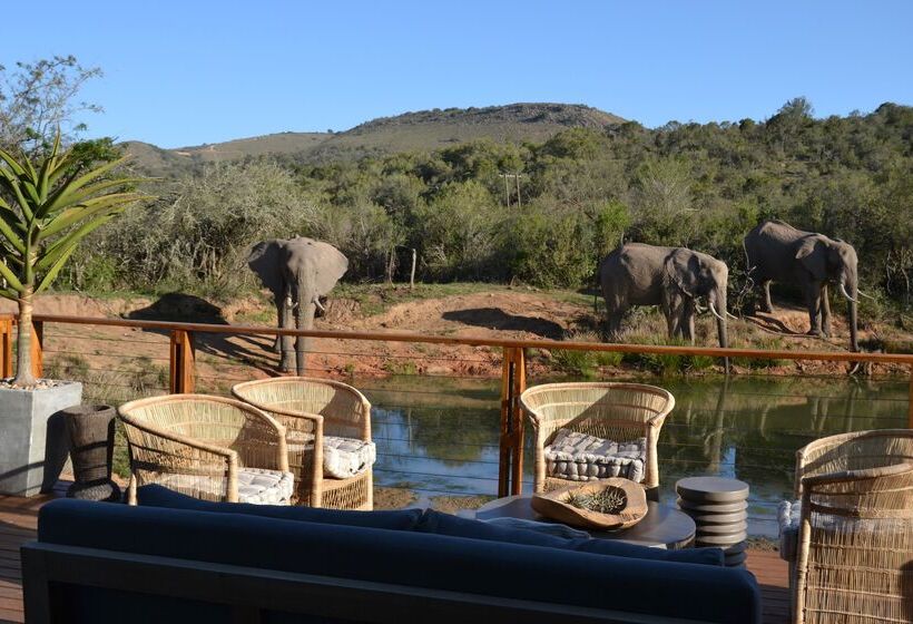 هتل Barefoot Addo Elephant Lodge