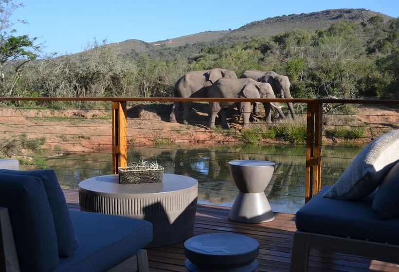 هتل Barefoot Addo Elephant Lodge