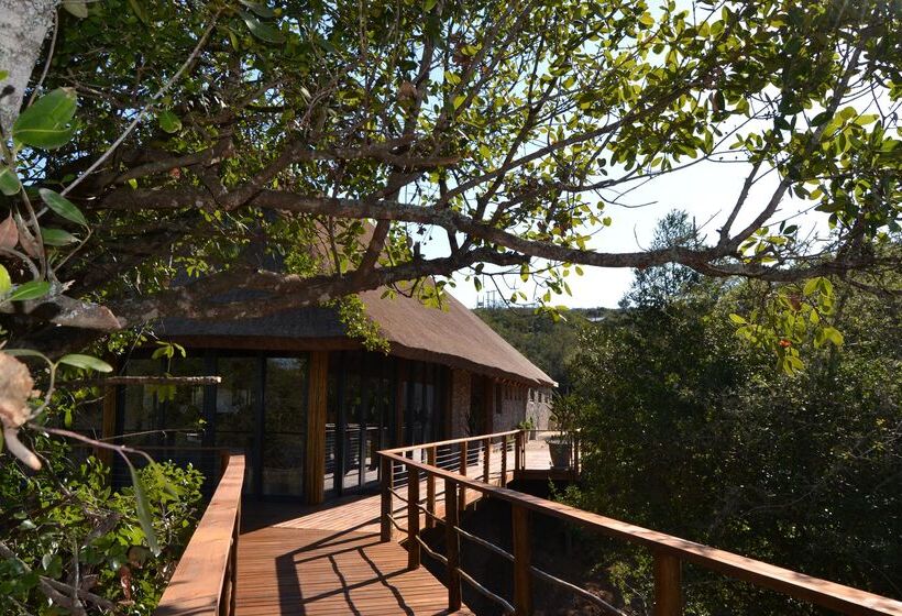 هتل Barefoot Addo Elephant Lodge