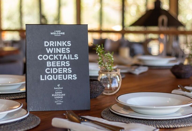 هتل Barefoot Addo Elephant Lodge