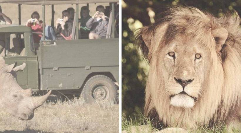 هتل Barefoot Addo Elephant Lodge