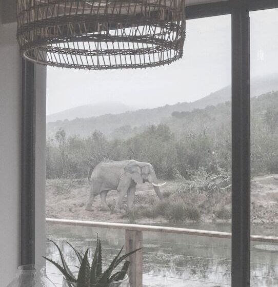هتل Barefoot Addo Elephant Lodge