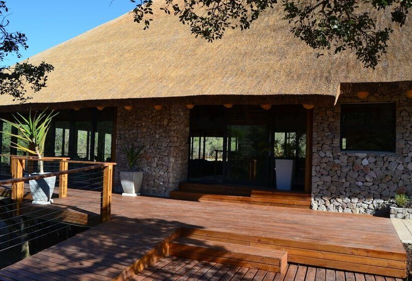 هتل Barefoot Addo Elephant Lodge