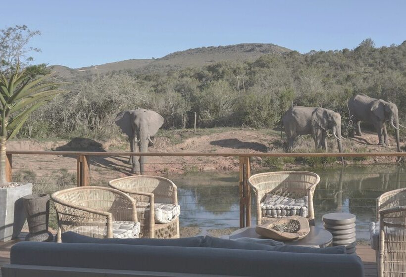 هتل Barefoot Addo Elephant Lodge