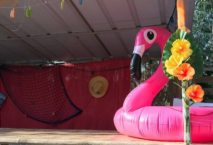 هتل Camping Le Ranch