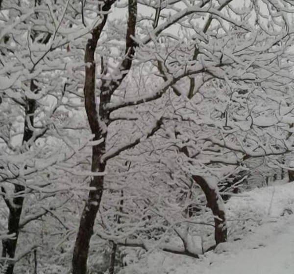 酒店 Kedros Chalet