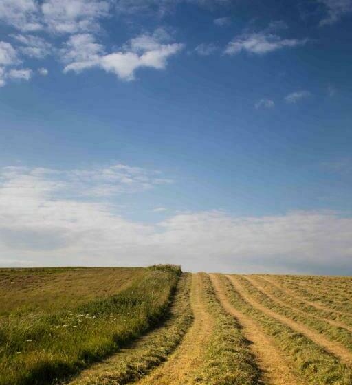 酒店 The Wight Mouse Inn