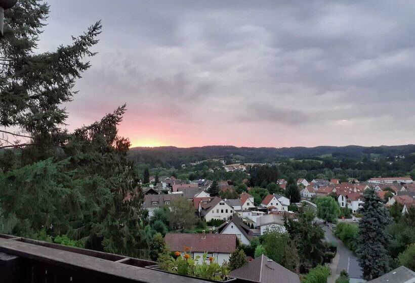 Пансион Alter Hof Mörlenbach