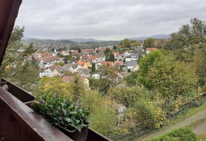 Пансион Alter Hof Mörlenbach