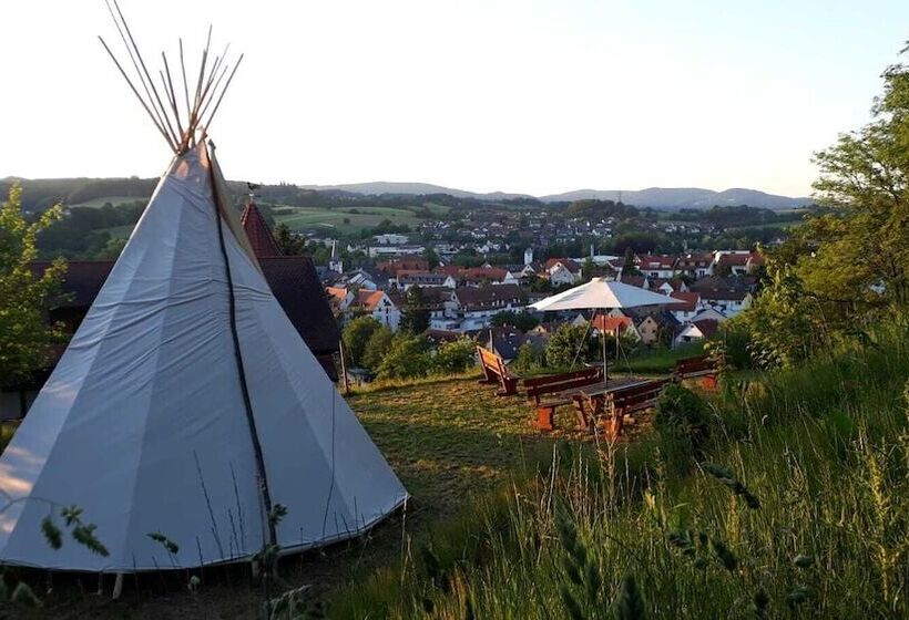 Пансион Alter Hof Mörlenbach