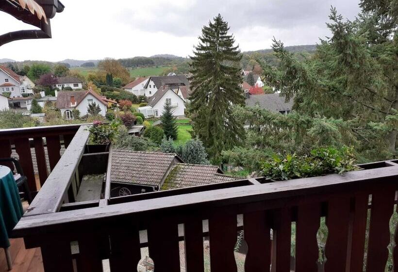 Пансион Alter Hof Mörlenbach