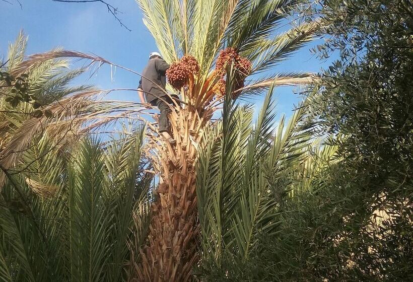 پانسیون Gite Kasbah La Palmeraie