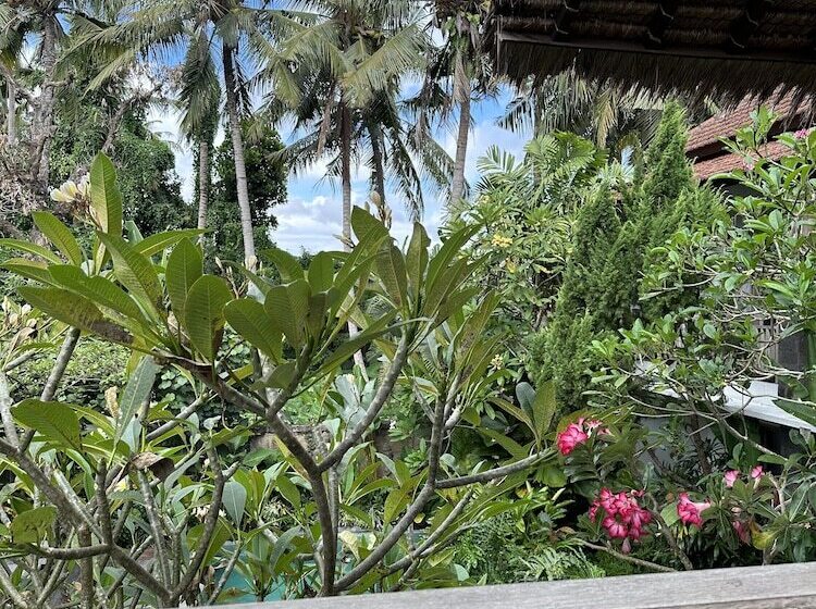 펜션 Kailash Bali