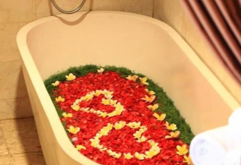 פנסיון Kailash Bali