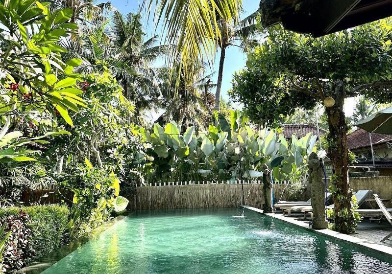 פנסיון Kailash Bali