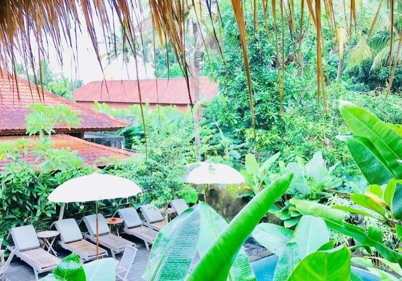 פנסיון Kailash Bali