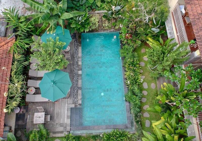 פנסיון Kailash Bali