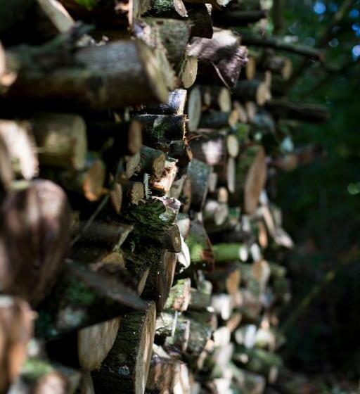 Pensionat Le Clos De La Vigneronne