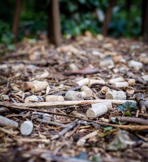 Pensionat Le Clos De La Vigneronne