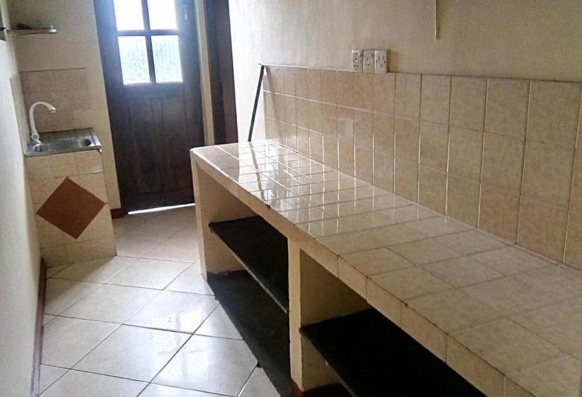 פנסיון Rose Magnolia Guest