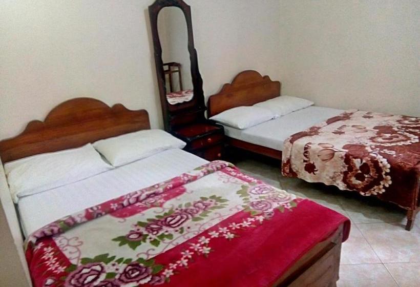 פנסיון Rose Magnolia Guest