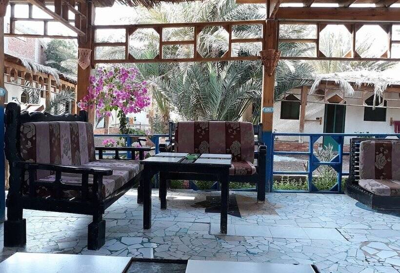 호스텔 Bishbishi Camp Dahab