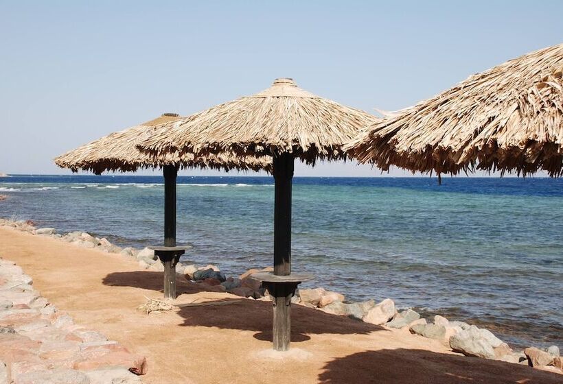 호스텔 Bishbishi Camp Dahab
