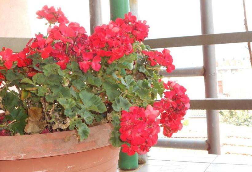 Apartments & Hostel Zdrava Hrana